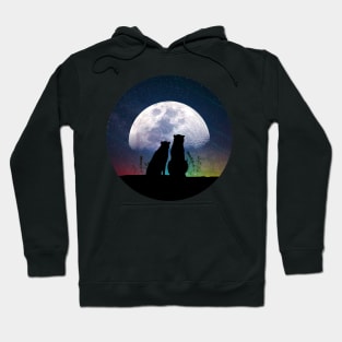 Cute cat and dog - best friends watching moon and cosmos Hoodie